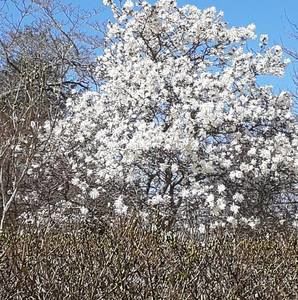 Meet your Posher, Ines